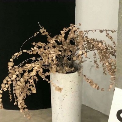 Furry绘画构图灵感福瑞交流群